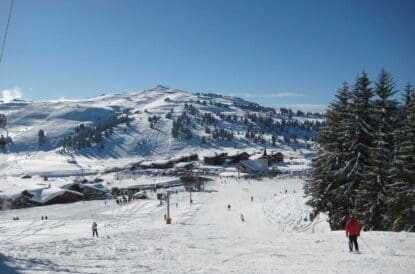 20-les-saisies-Mobile