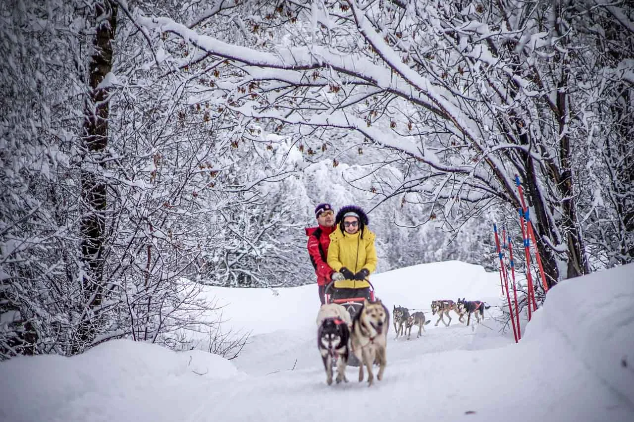 two people in ski jackets on a sled pulled by dogs through snowy woods