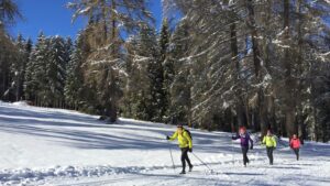 Cross-country skiing