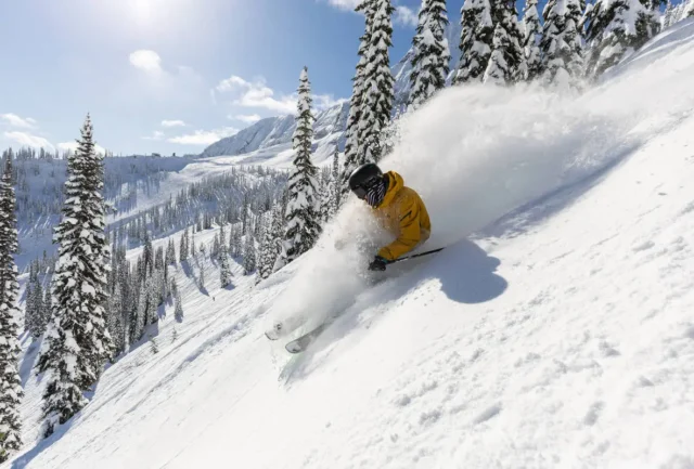 Fernie BC powder skiing
