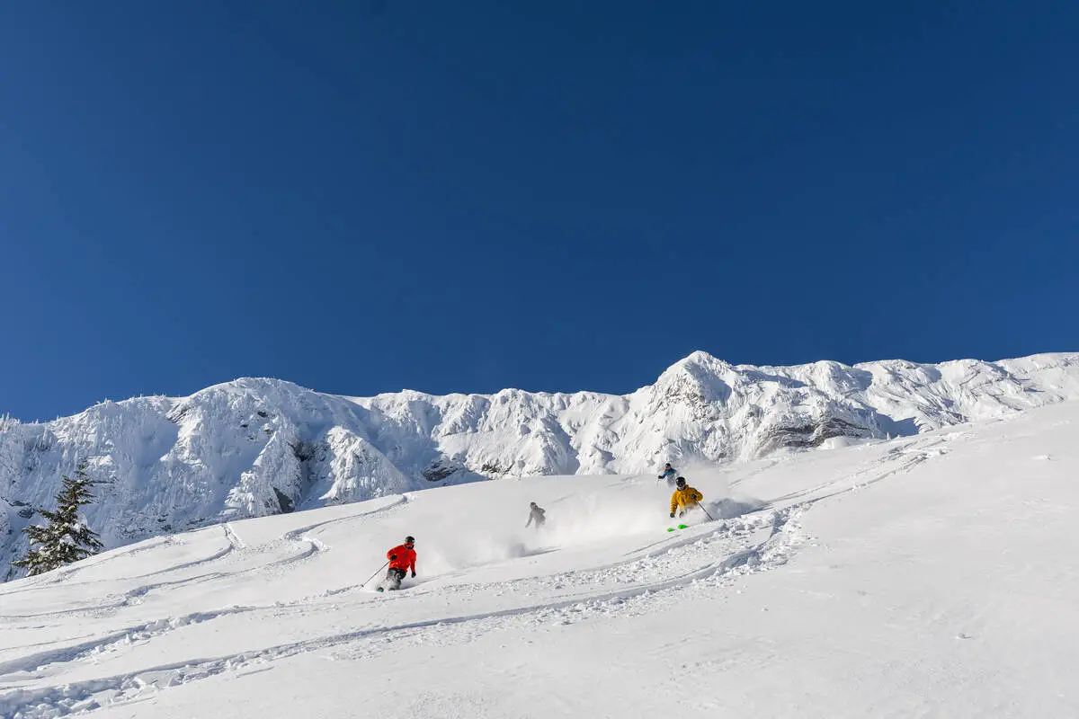 Fernie BC freshtracks