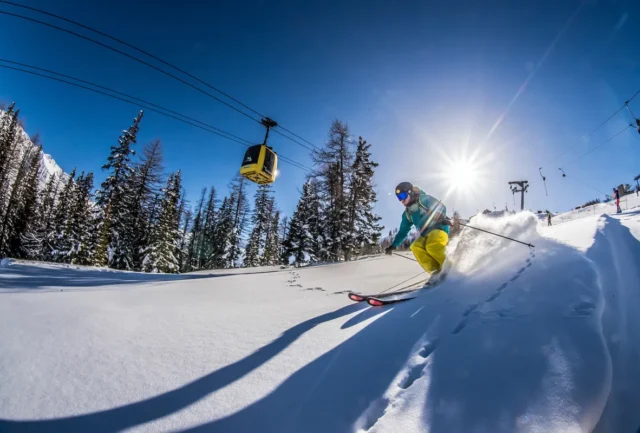 Skier making powder turns next to the lift at La Thuile, Aosta Valley, Italy