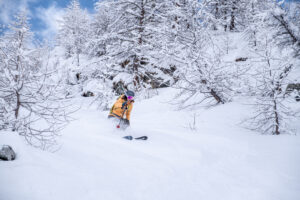 Freeride skiing Monterosa