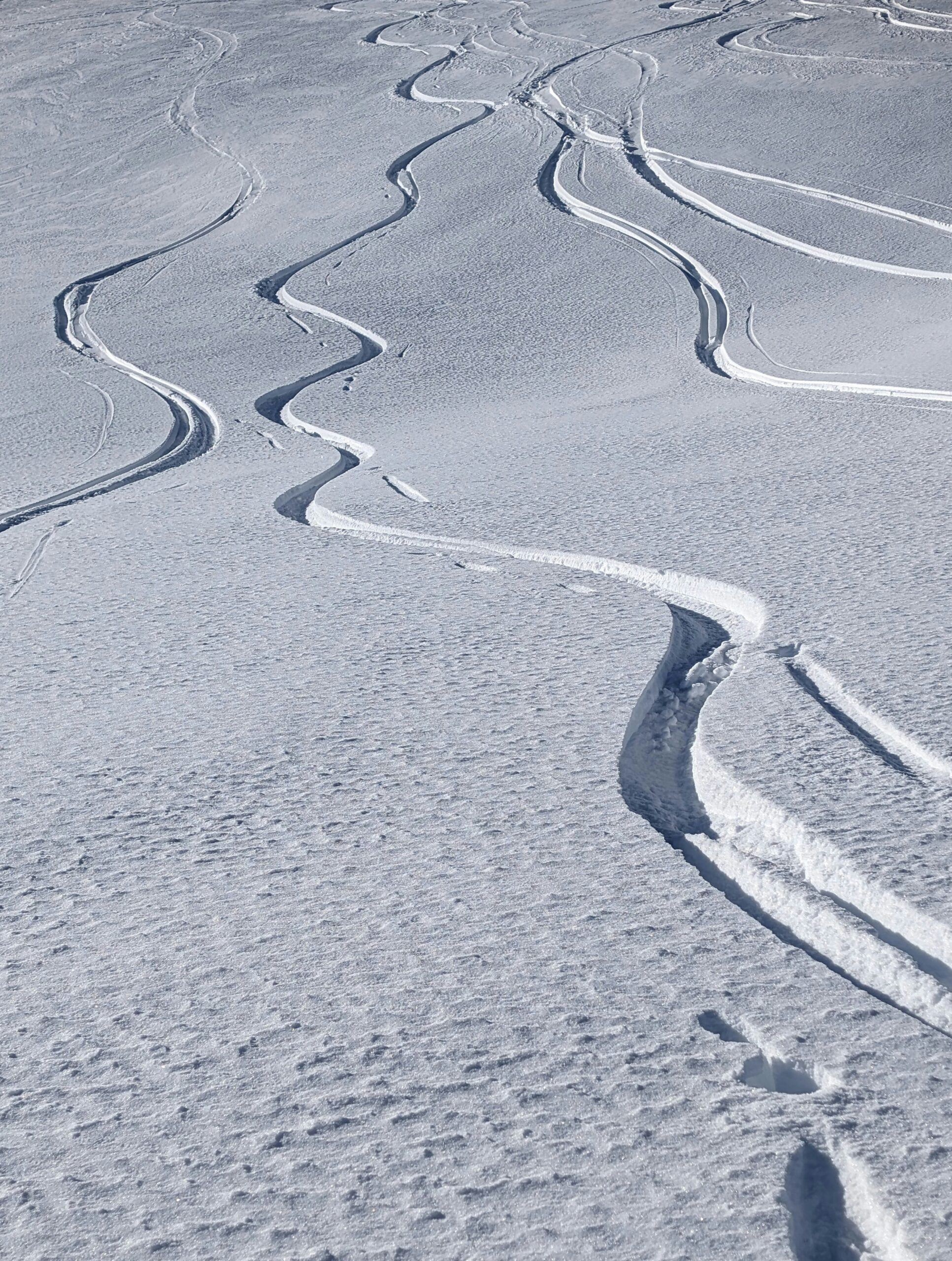 Powder snow, captured by Dario Morandotti