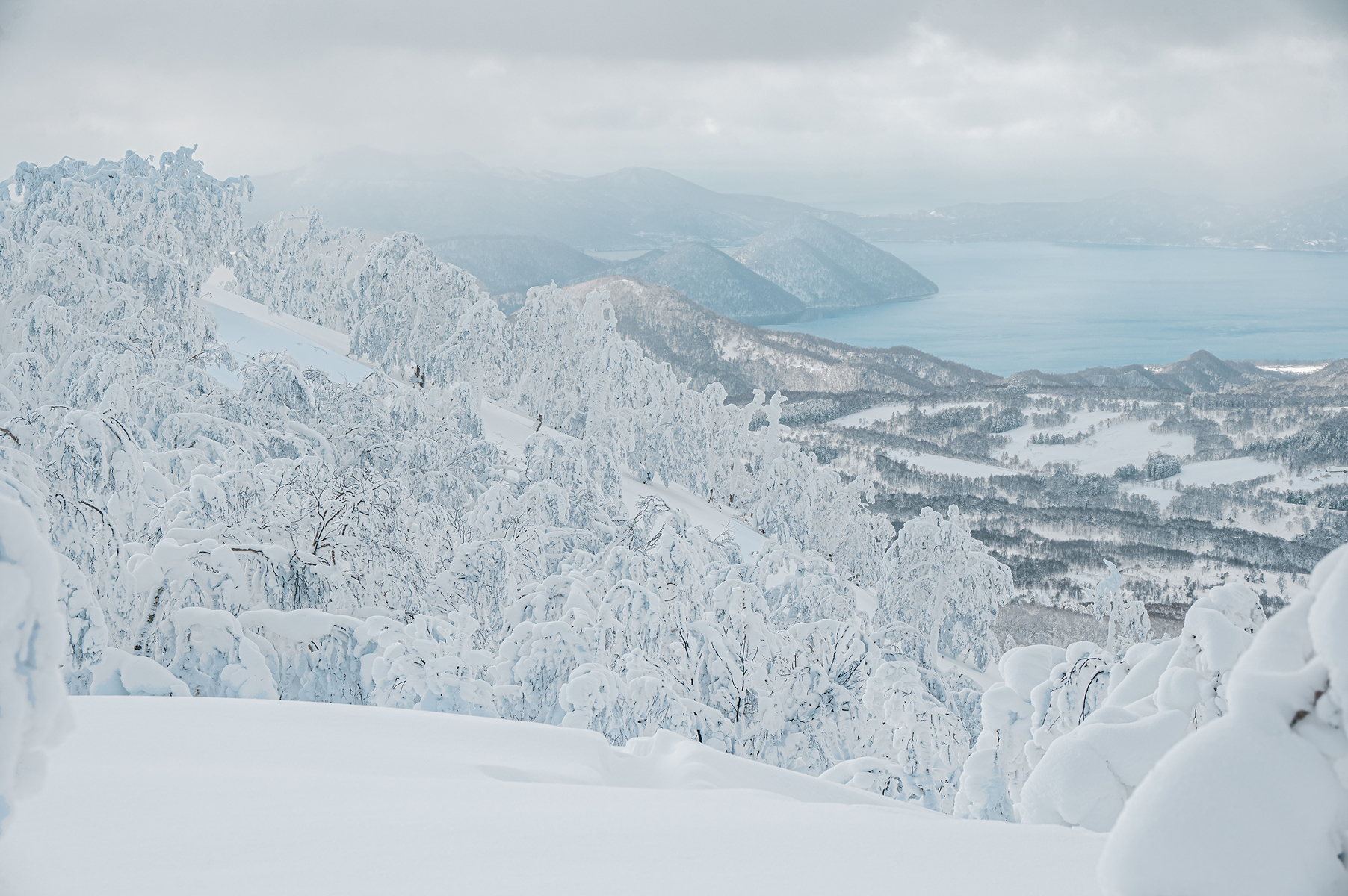 The Northern Lights, wilderness and tree skiing