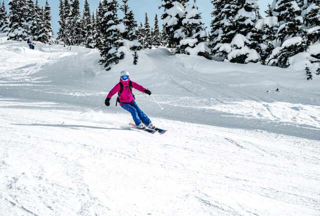 Skier in a pink jacket on a groomed piste lined with snowy pine trees