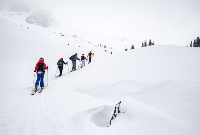 Group of ski tourers climbing in single file through falling snow