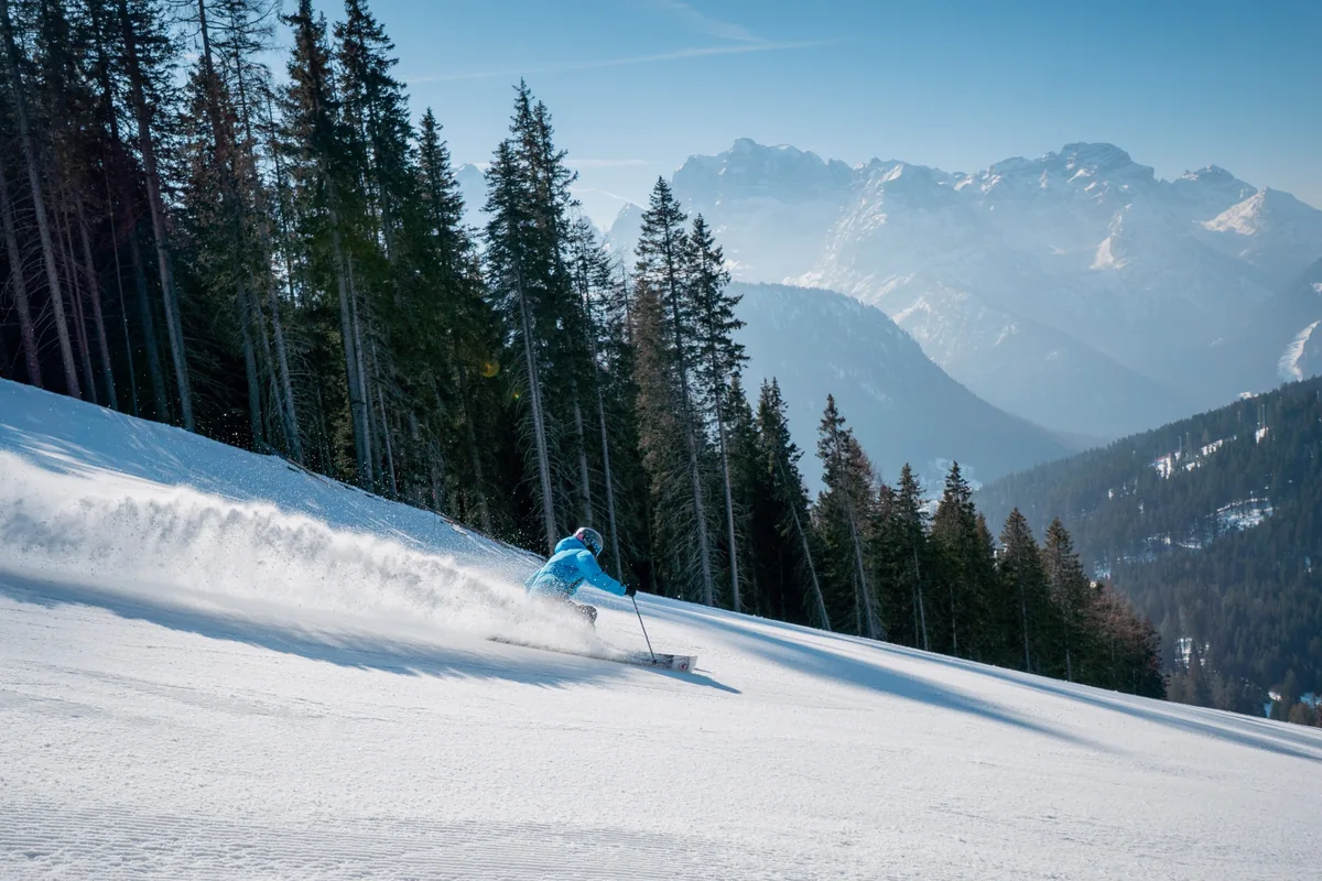 Skier carving through fresh dusted piste beside a forest with the Dolomites in the background.